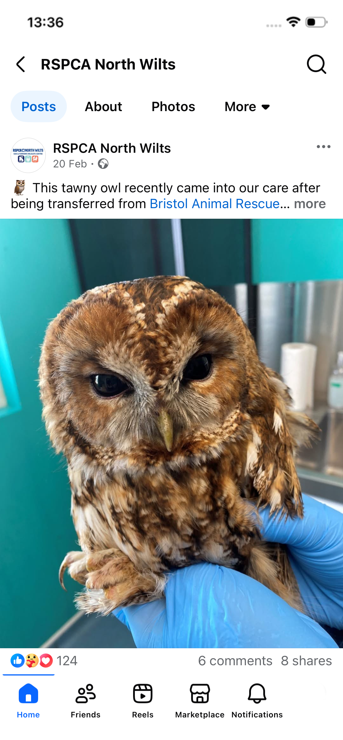 RSPCA north wilts social media post facebook