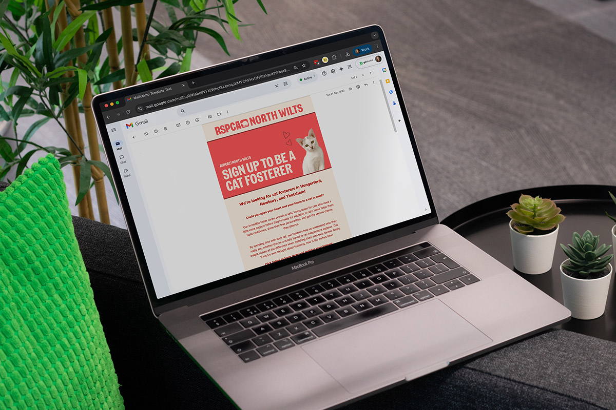 Email marketing 