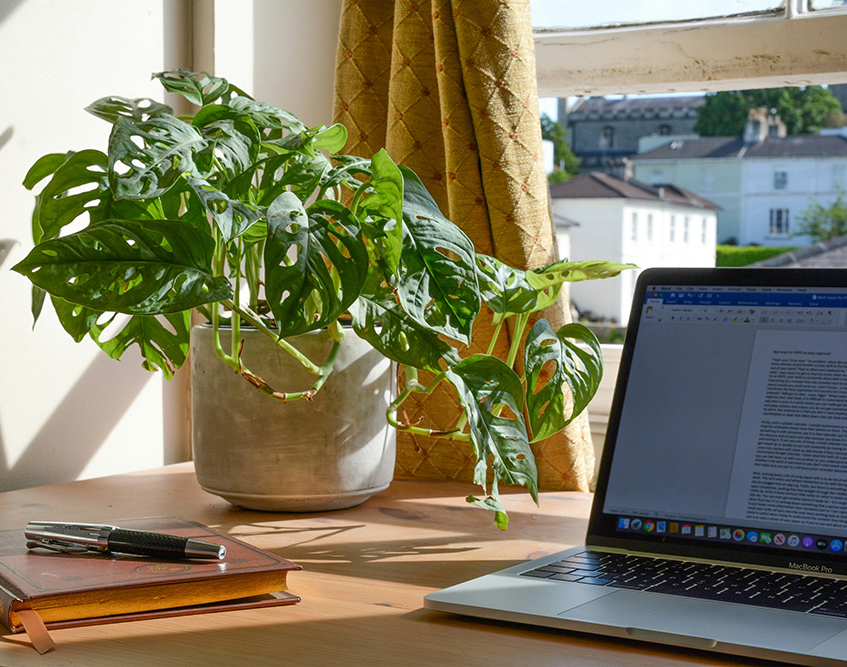 Work from home setup